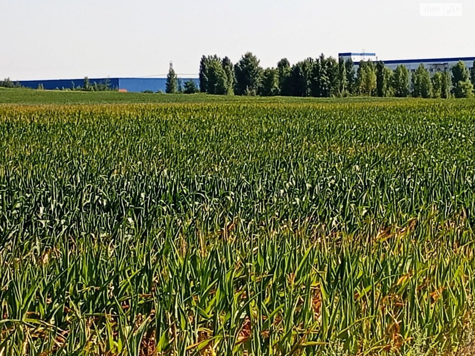Земельна ділянка під житлову забудову в Броварах, площа 2.0002 Га фото 1