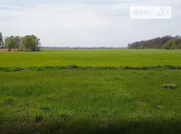 Продажа участка под жилую застройку, Киевская, Бровары, c. Гоголев Продажа участка под жилую застройку, Киевская, Бровары, c. Гоголев