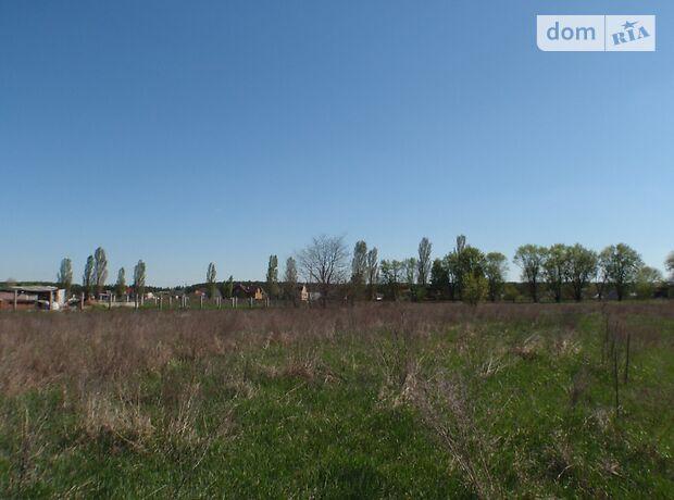 Земля під житлову забудову в селі Рожни, площа 25 соток фото 1 Земля під житлову забудову в селі Рожни, площа 25 соток фото 1