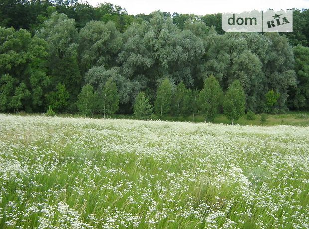 Продажа участка под жилую застройку, Киевская, Бровары, c. Соболевка Продажа участка под жилую застройку, Киевская, Бровары, c. Соболевка