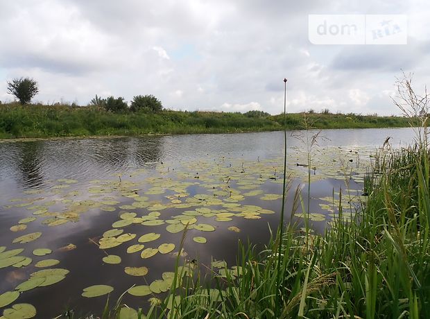 Земля під житлову забудову в селі Зазим’я, площа 25 соток фото 1 Земля під житлову забудову в селі Зазим’я, площа 25 соток фото 1