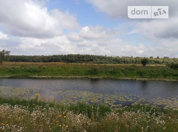 Земля під житлову забудову в селі Зазим’я, площа 25 соток фото 1 Земля під житлову забудову в селі Зазим’я, площа 25 соток фото 1