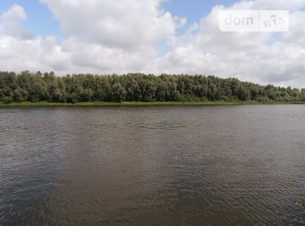 Земля під житлову забудову в селі Зазим’я, площа 25 соток фото 1 Земля під житлову забудову в селі Зазим’я, площа 25 соток фото 1