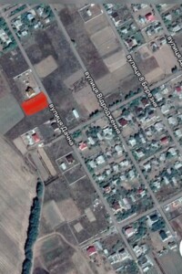 Земля під житлову забудову в Брусилові, район Брусилів, площа 12 соток фото 2