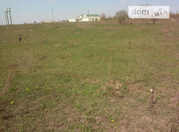 Земля под жилую застройку в Брусилове, район Брусилов, площадь 10 соток фото 1