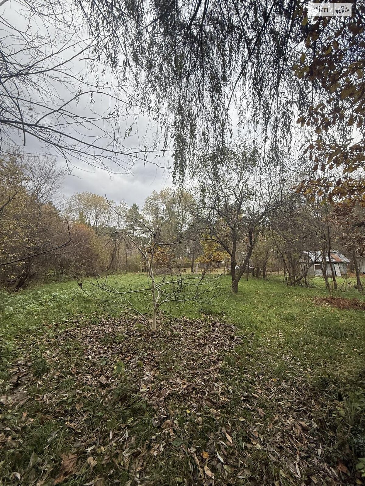 Земельный участок под жилую застройку в Брюховичах, площадь 8 соток фото 1 Земельный участок под жилую застройку в Брюховичах, площадь 8 соток фото 1