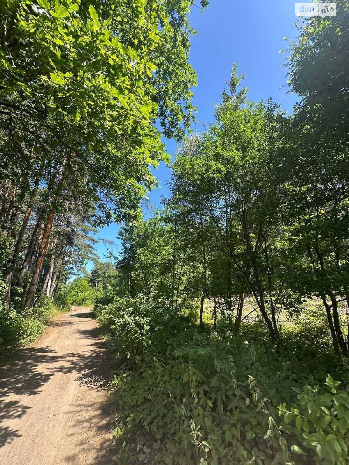 Земельна ділянка під житлову забудову в Брюховичах, площа 6 соток фото 1 Земельна ділянка під житлову забудову в Брюховичах, площа 6 соток фото 1