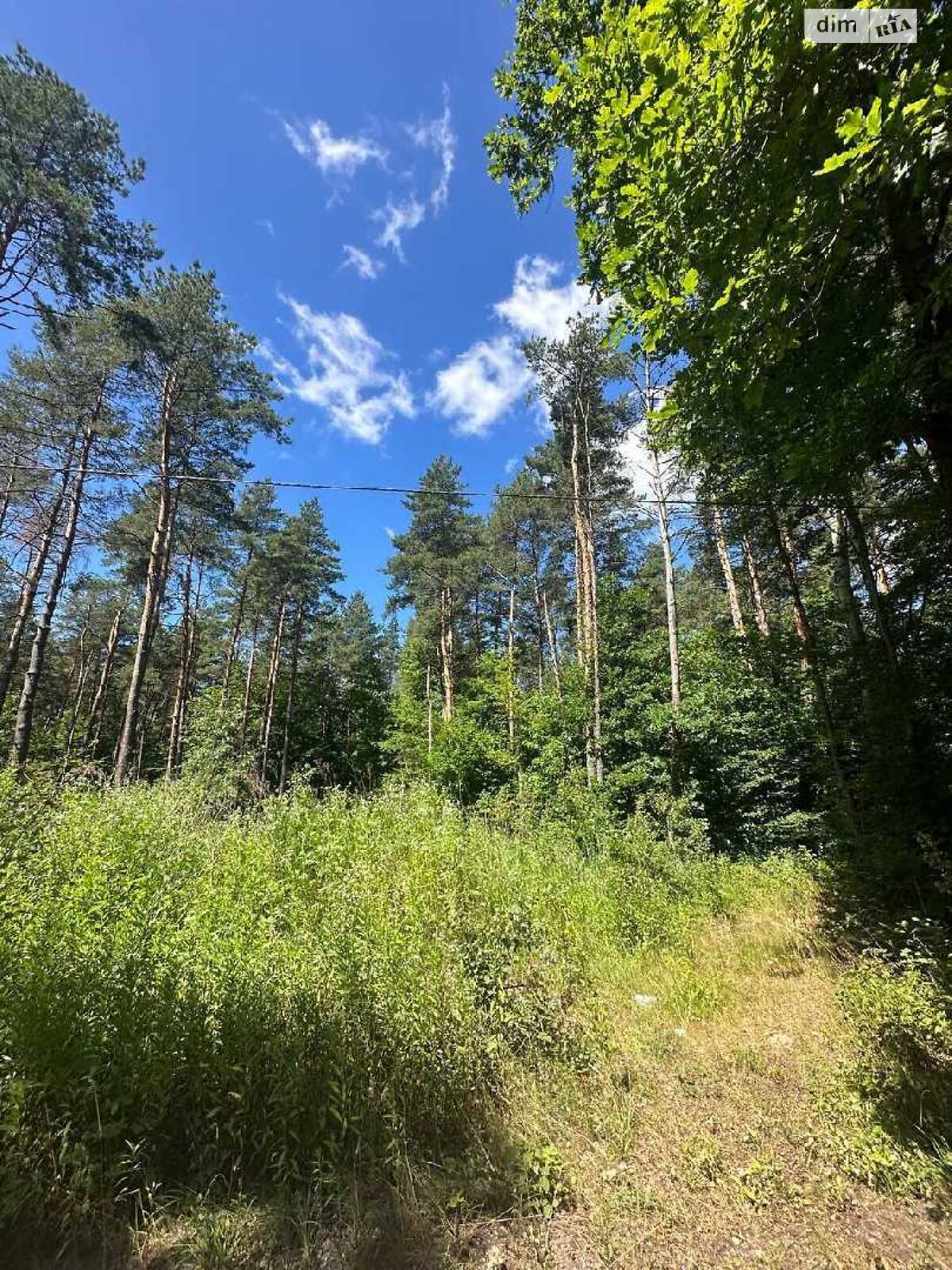 Земельна ділянка під житлову забудову в Брюховичах, площа 6 соток фото 1 Земельна ділянка під житлову забудову в Брюховичах, площа 6 соток фото 1