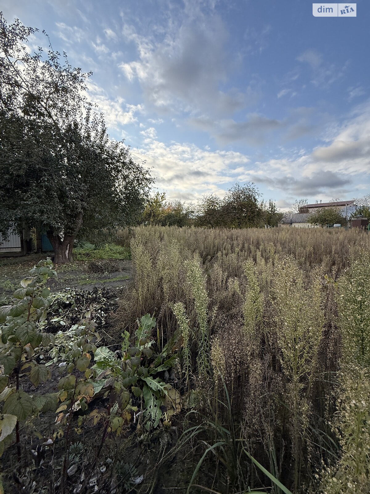 Земля под жилую застройку в Буче, район Буча, площадь 14 соток фото 1