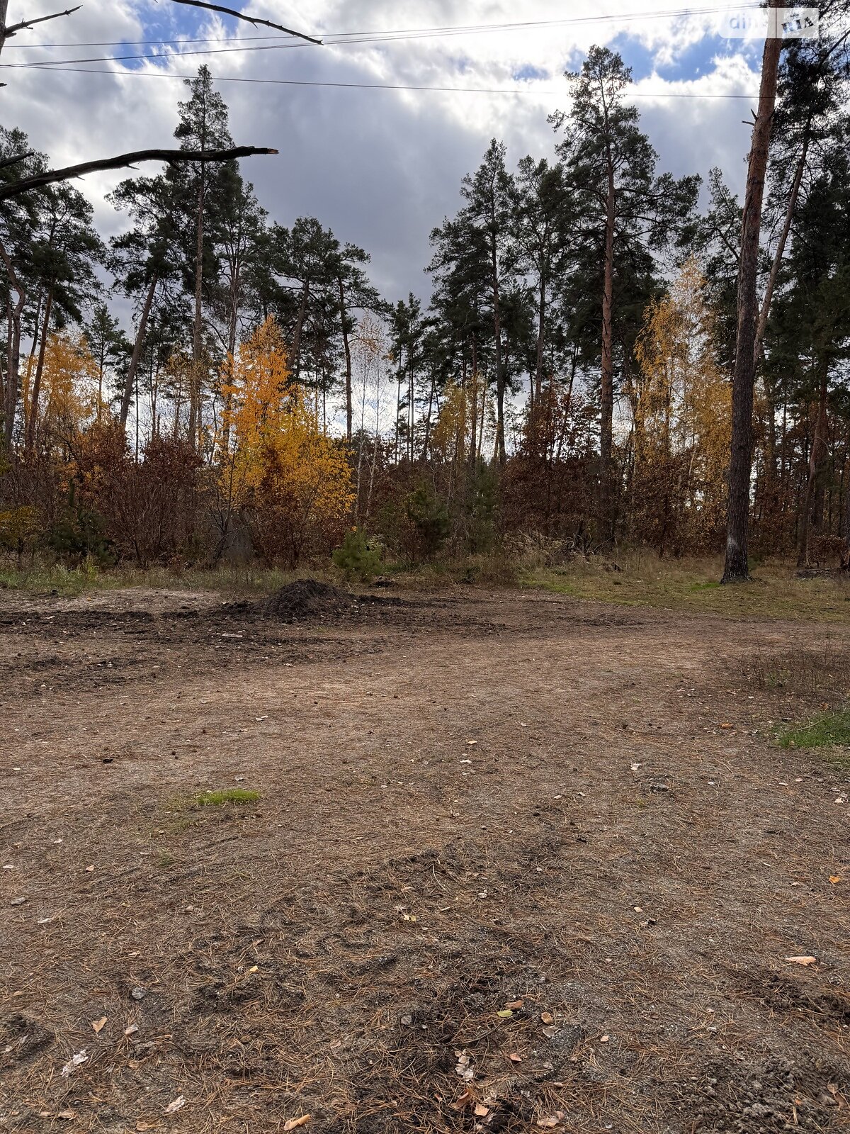 Земля під житлову забудову в Бучі, район Буча, площа 10 соток фото 1