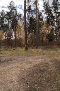 Земля під житлову забудову в Бучі, район Буча, площа 10 соток фото 2