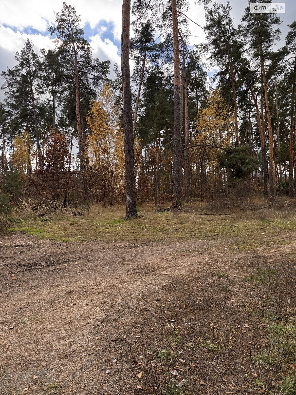 Земля під житлову забудову в Бучі, район Буча, площа 10 соток фото 1