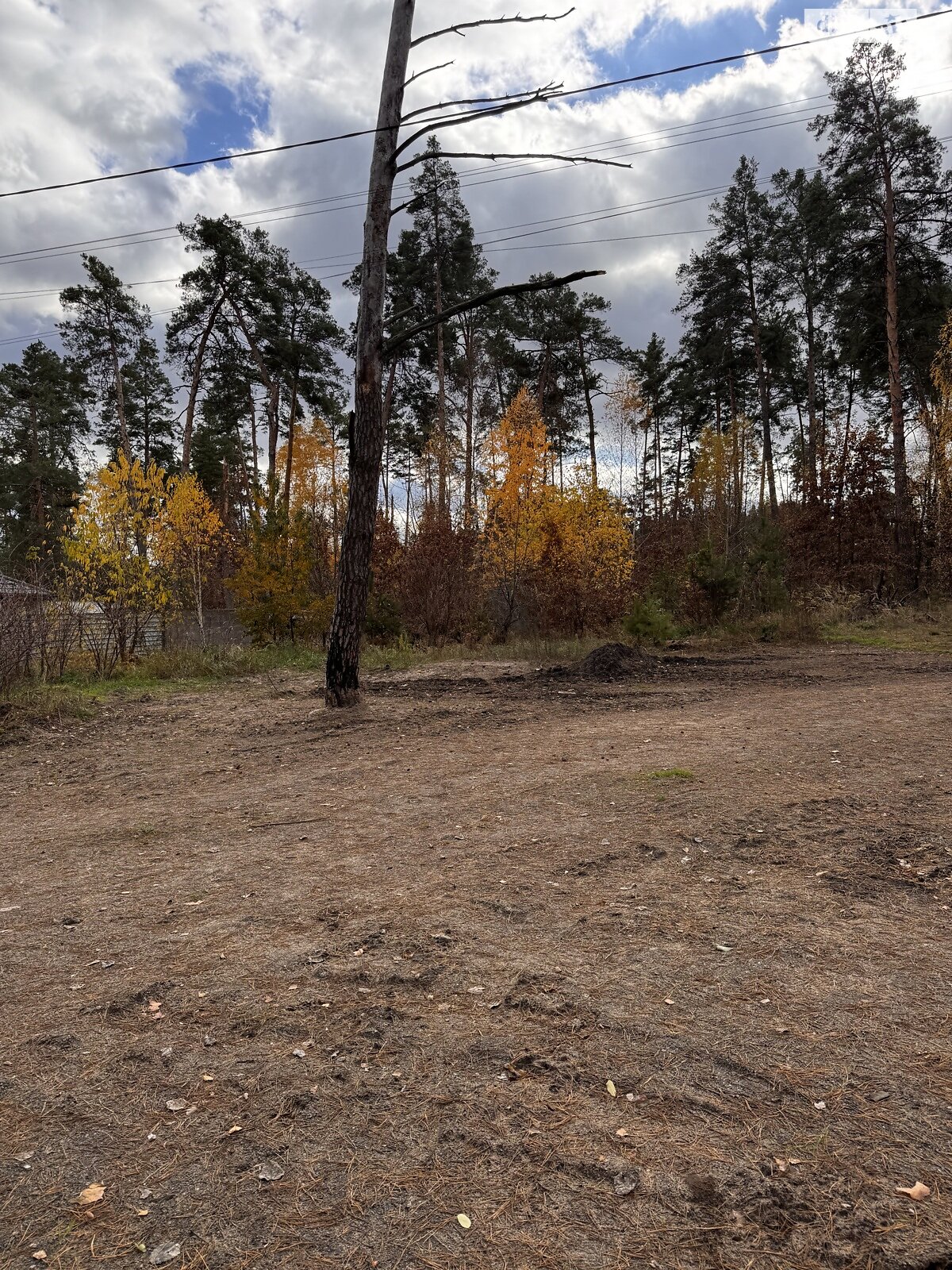 Земля під житлову забудову в Бучі, район Буча, площа 10 соток фото 1