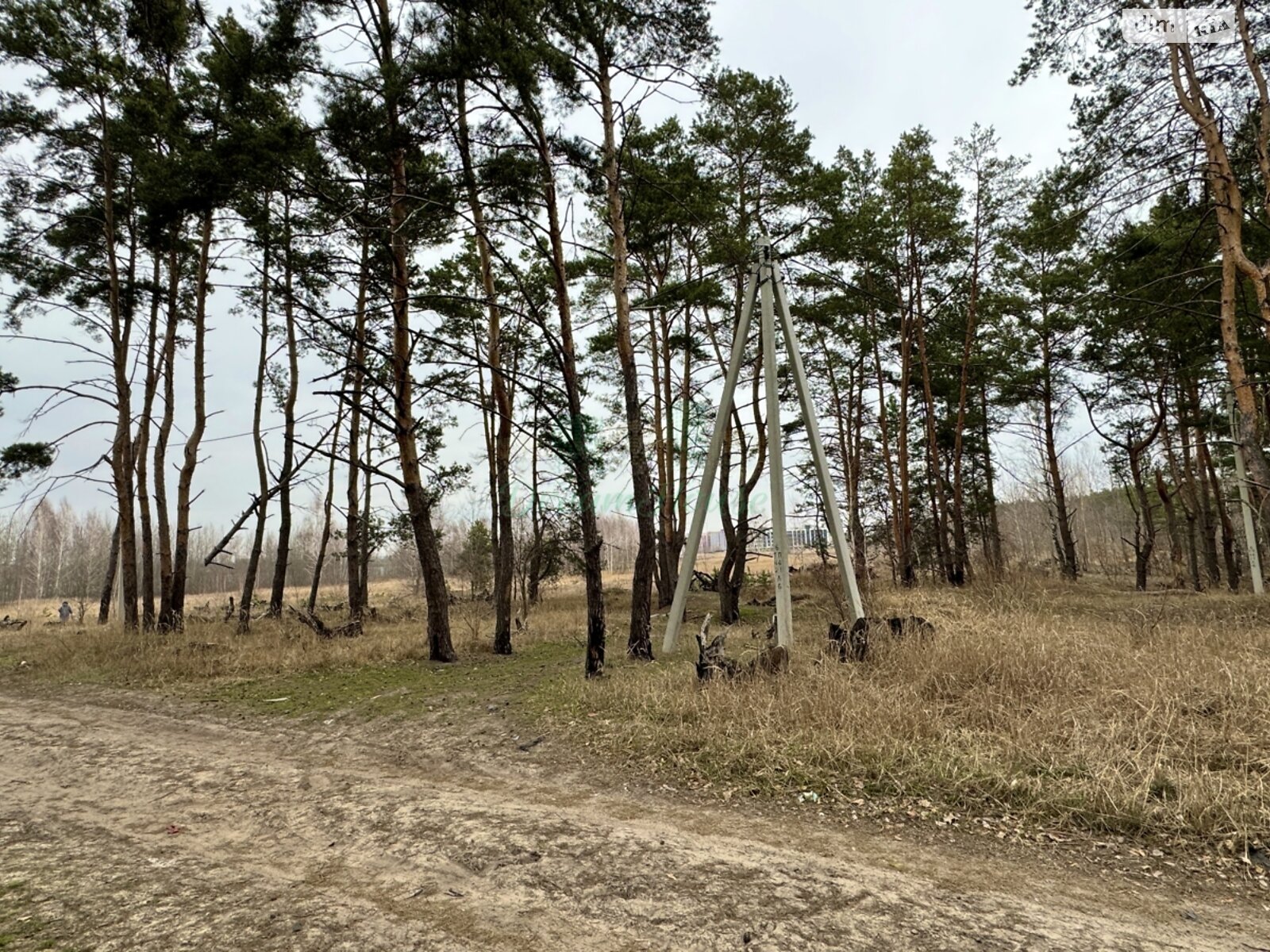 Земля под жилую застройку в Буче, район Буча, площадь 44 сотки фото 1