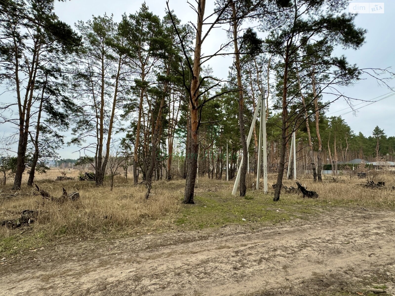 Земля под жилую застройку в Буче, район Буча, площадь 44 сотки фото 1