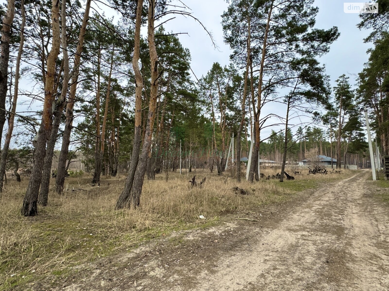 Земля под жилую застройку в Буче, район Буча, площадь 44 сотки фото 1