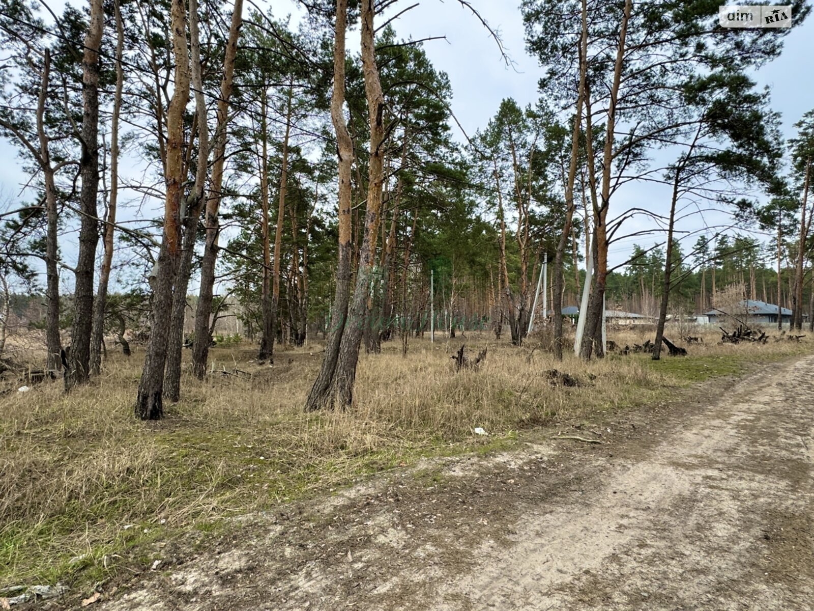 Земля под жилую застройку в Буче, район Буча, площадь 44 сотки фото 1