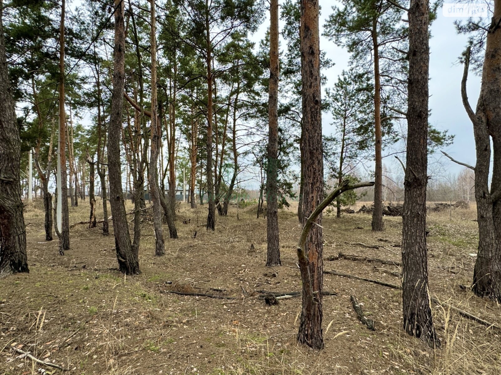 Земля под жилую застройку в Буче, район Буча, площадь 44 сотки фото 1