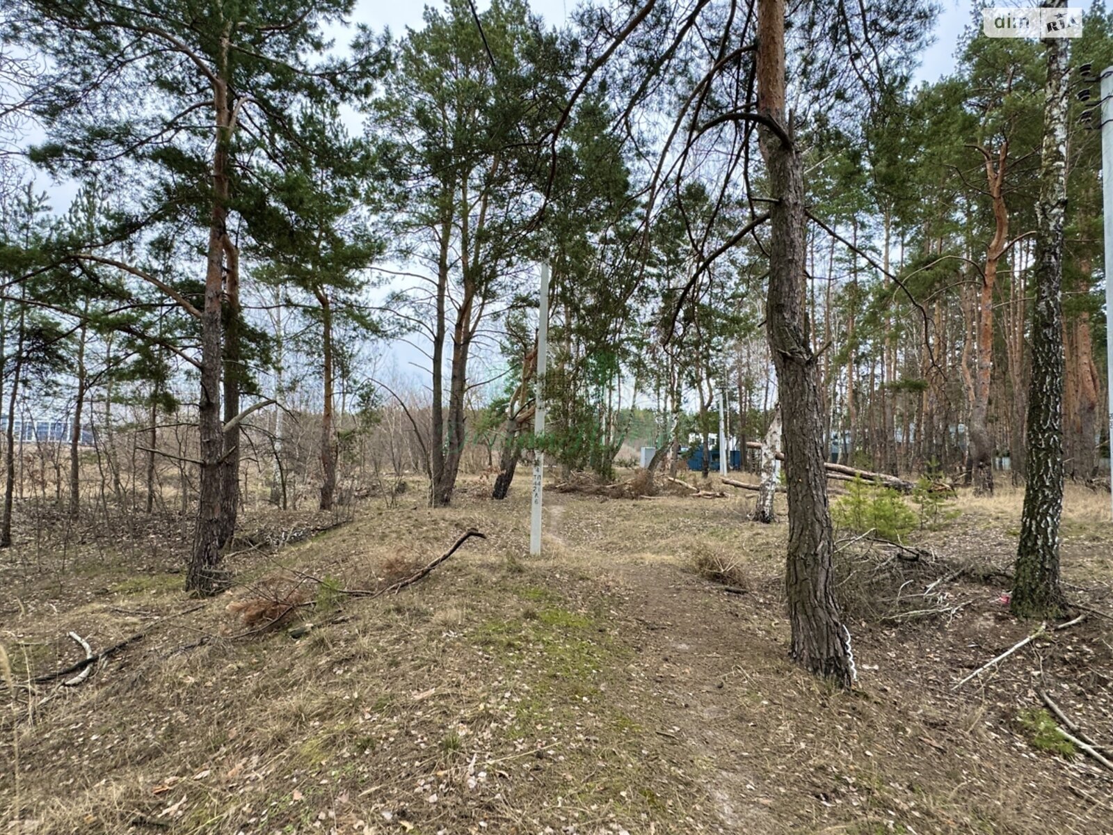 Земля под жилую застройку в Буче, район Буча, площадь 44 сотки фото 1
