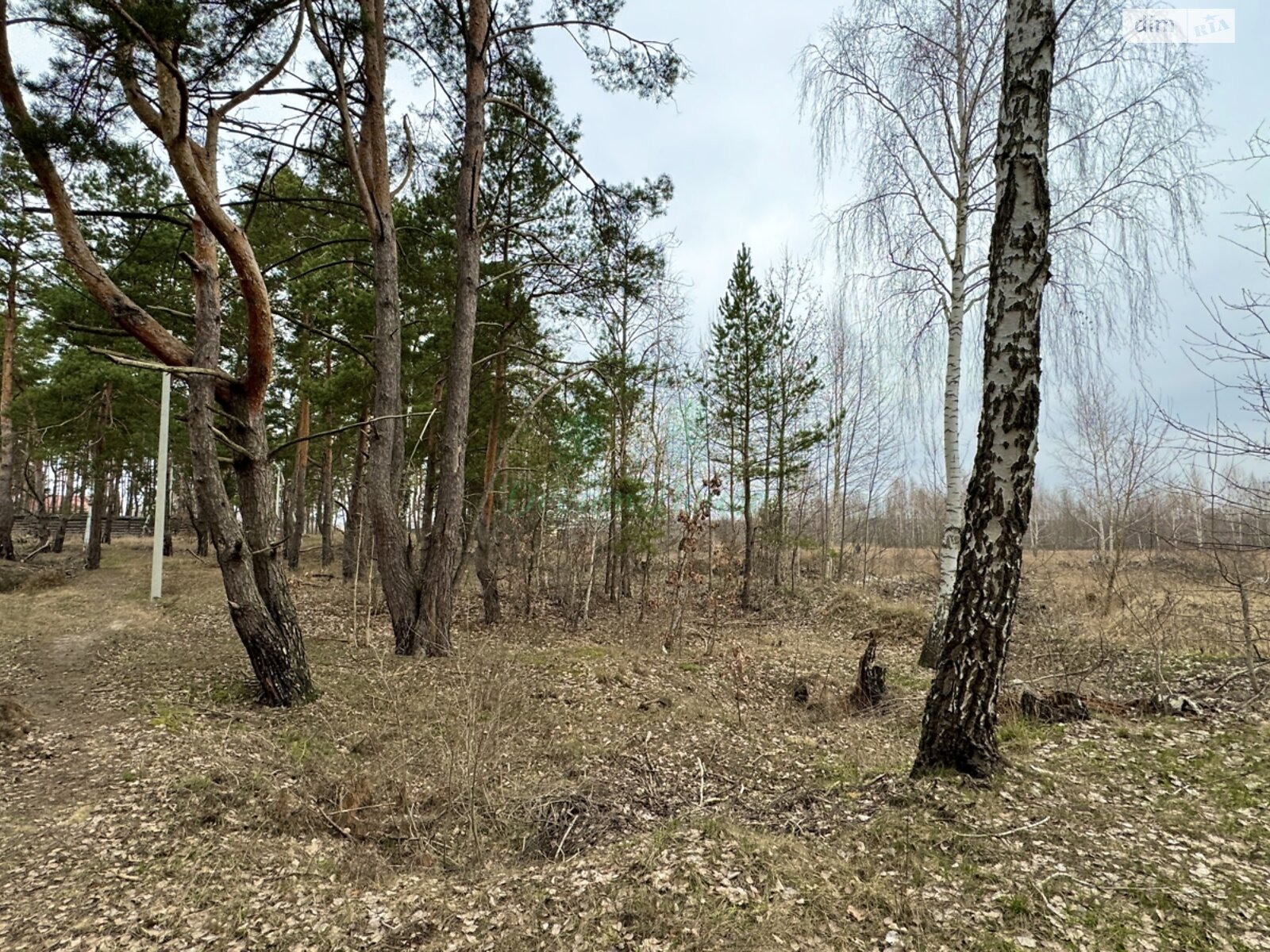 Земля под жилую застройку в Буче, район Буча, площадь 44 сотки фото 1