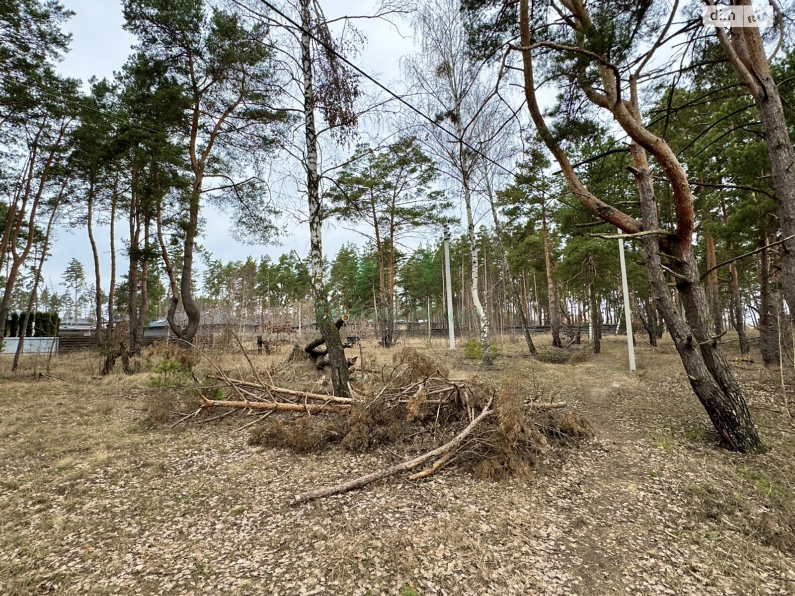 Земля под жилую застройку в Буче, район Буча, площадь 44 сотки фото 1
