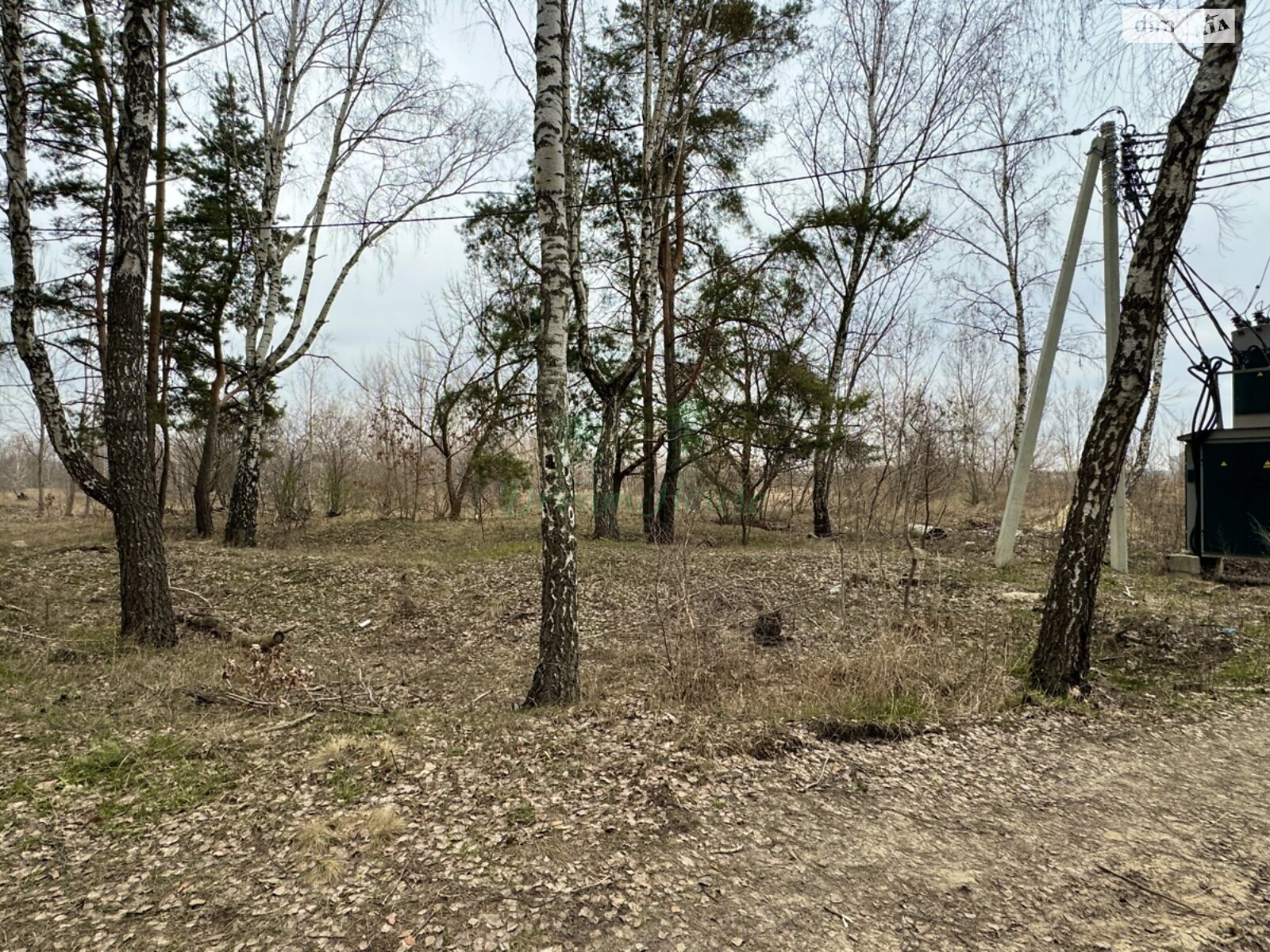 Земля под жилую застройку в Буче, район Буча, площадь 44 сотки фото 1