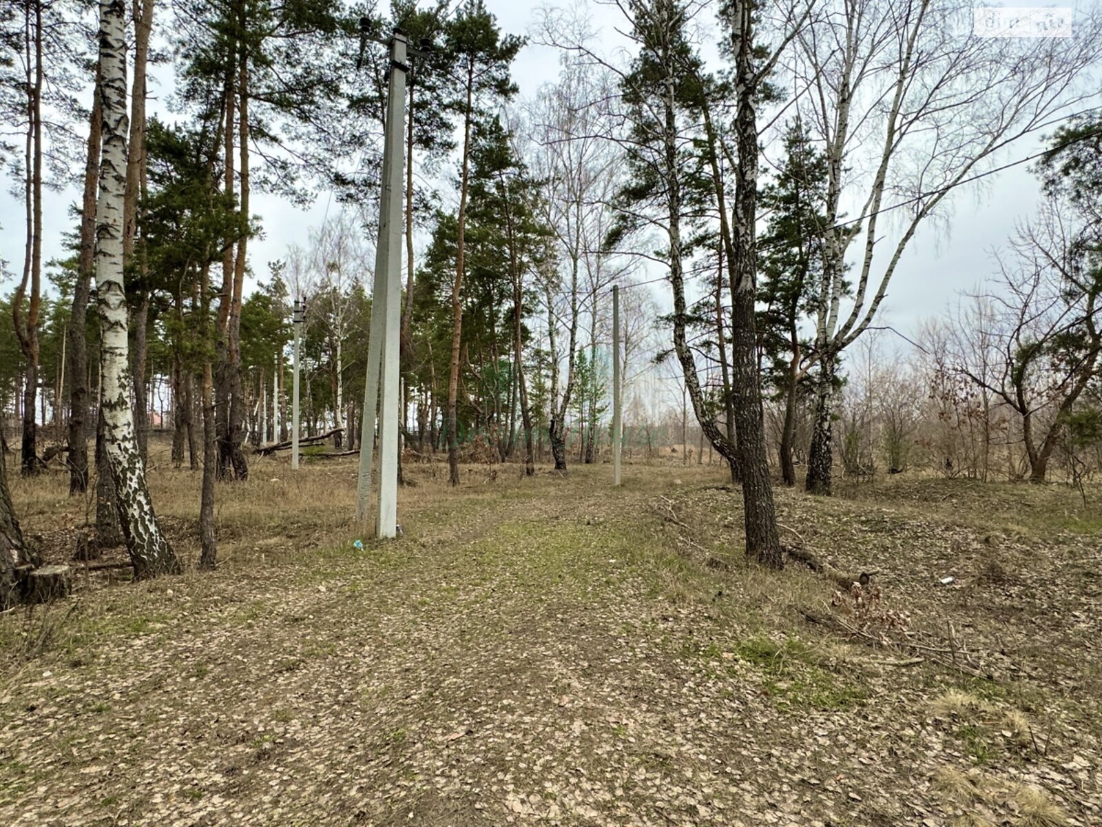 Земля под жилую застройку в Буче, район Буча, площадь 44 сотки фото 1