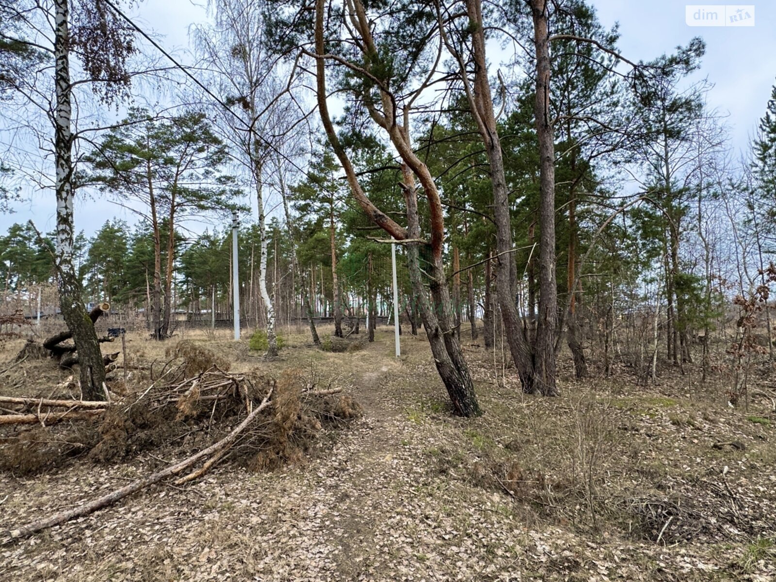 Земельна ділянка під житлову забудову в Бучі, площа 59.96 сотки фото 1