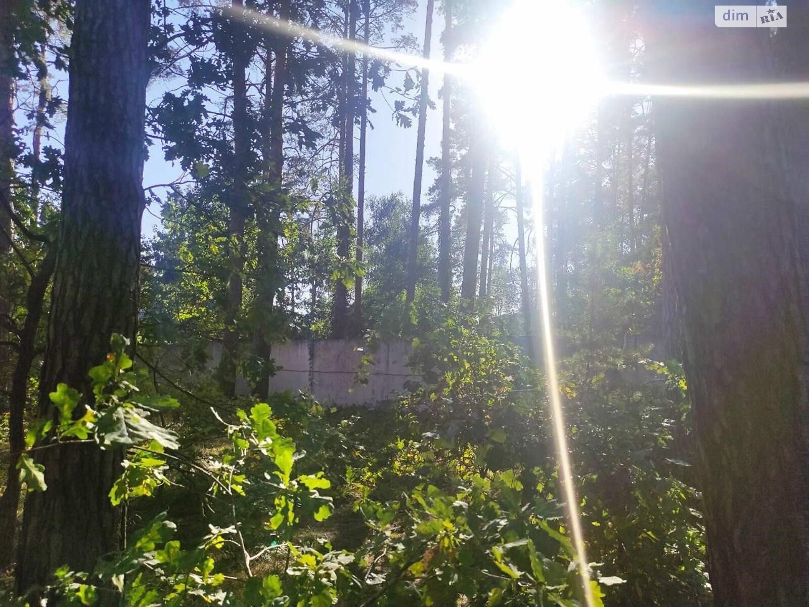 Земельный участок под жилую застройку в Буче, площадь 0.0811 Га фото 1