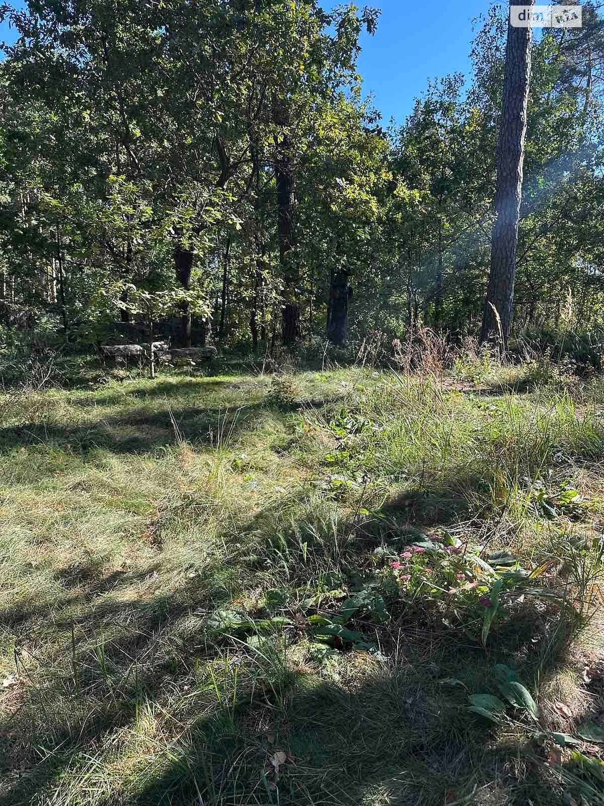 Земельный участок под жилую застройку в Буче, площадь 0.1 Га фото 1 Земельный участок под жилую застройку в Буче, площадь 0.1 Га фото 1