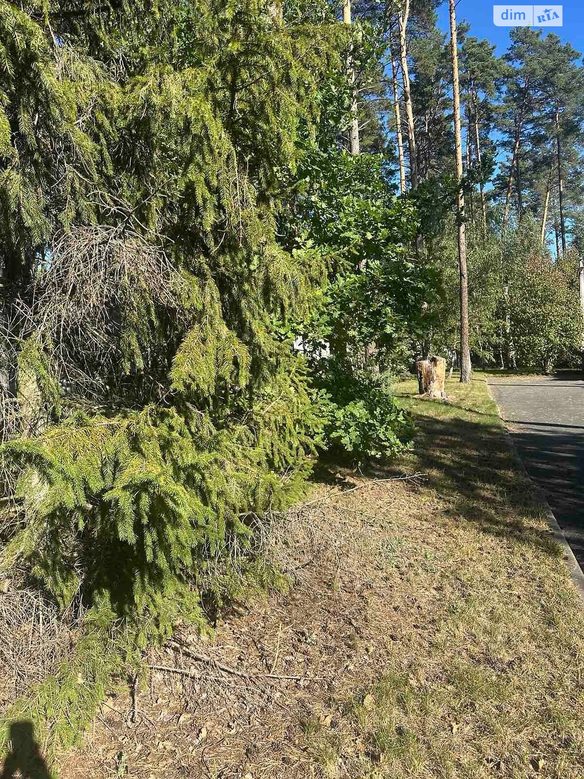 Земельный участок под жилую застройку в Буче, площадь 0.0831 Га фото 1