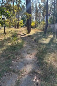 Земельный участок под жилую застройку в Буче, площадь 0.1 Га фото 2 Земельный участок под жилую застройку в Буче, площадь 0.1 Га фото 2