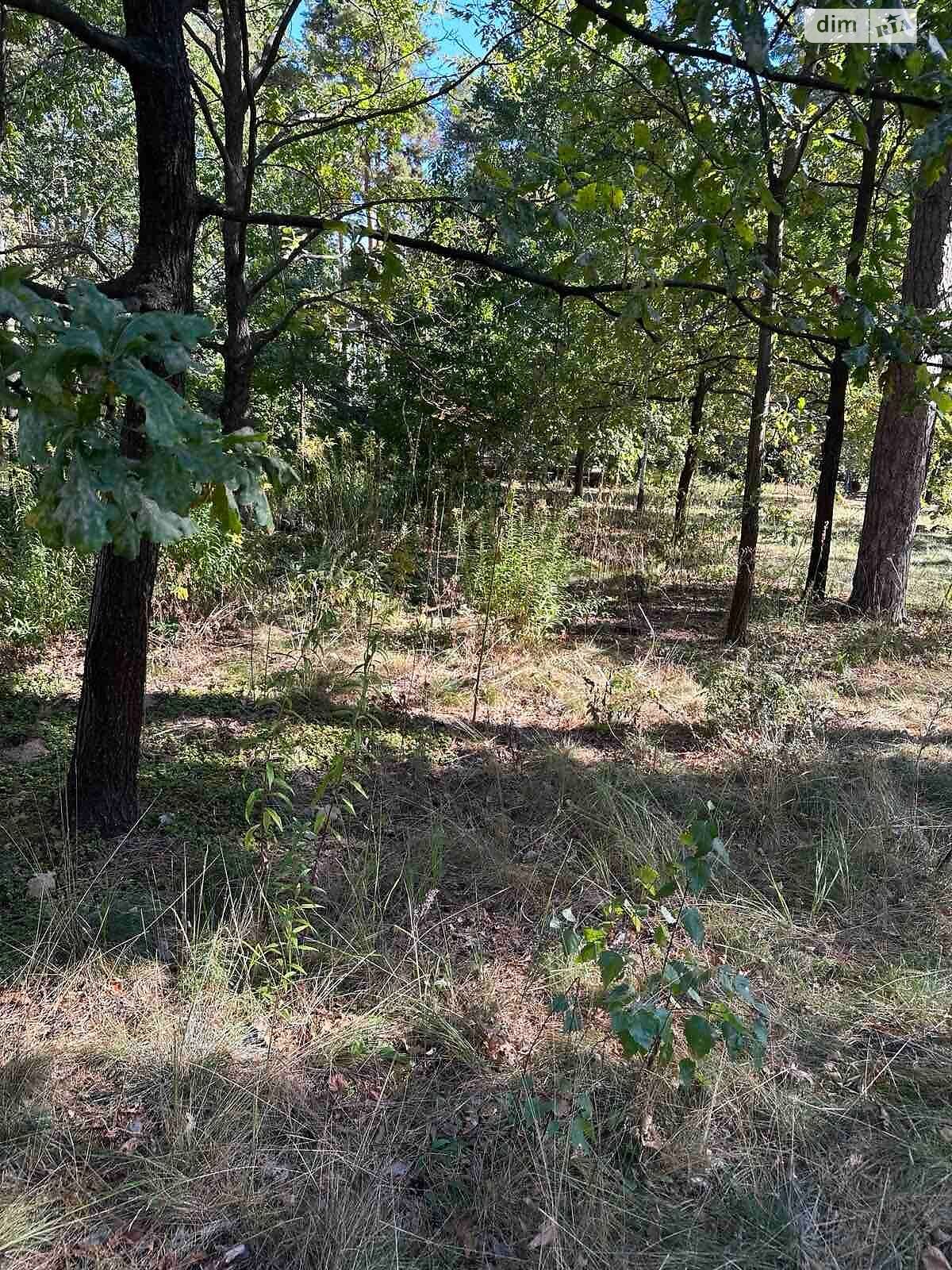 Земельный участок под жилую застройку в Буче, площадь 0.1 Га фото 1 Земельный участок под жилую застройку в Буче, площадь 0.1 Га фото 1