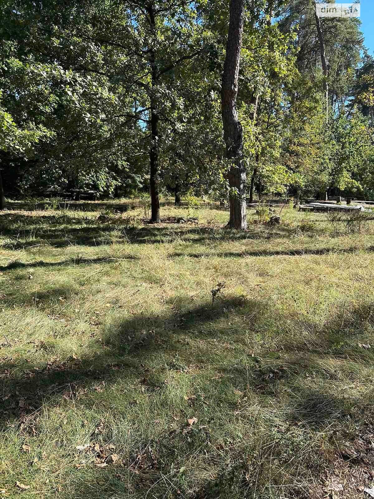 Земельный участок под жилую застройку в Буче, площадь 0.1 Га фото 1 Земельный участок под жилую застройку в Буче, площадь 0.1 Га фото 1