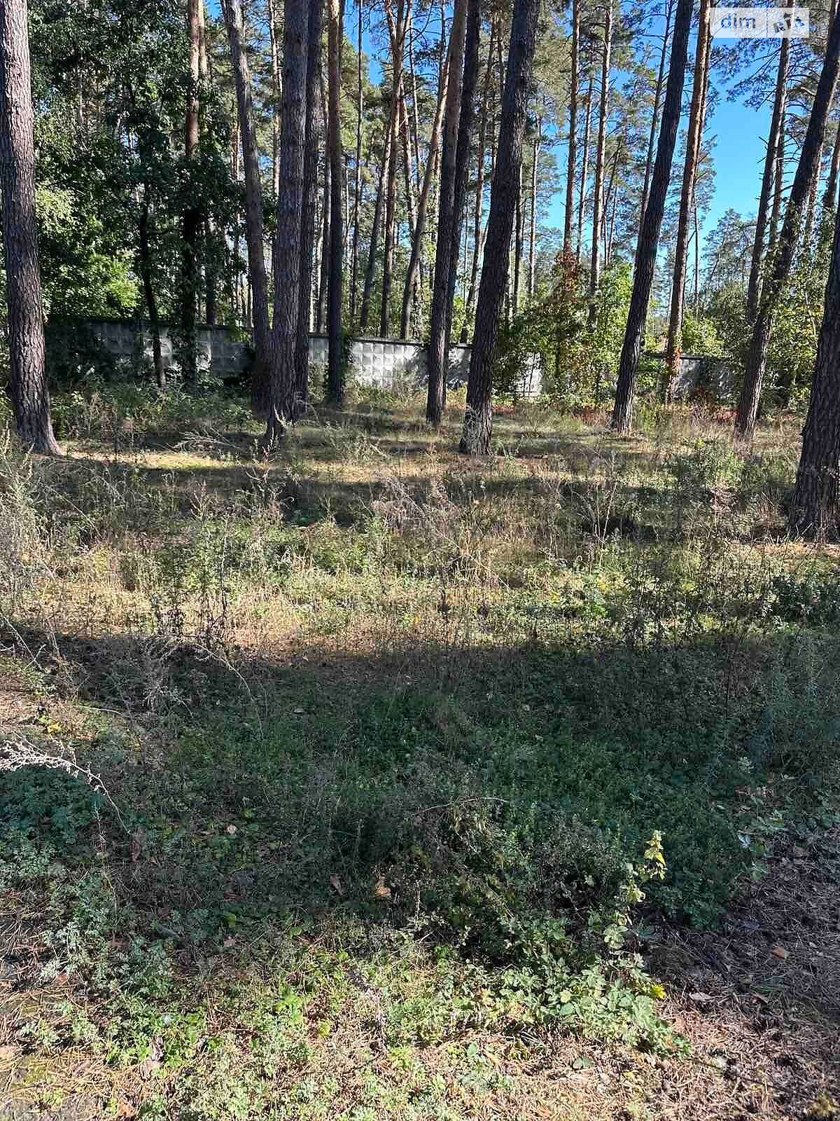 Земельный участок под жилую застройку в Буче, площадь 0.1 Га фото 1 Земельный участок под жилую застройку в Буче, площадь 0.1 Га фото 1