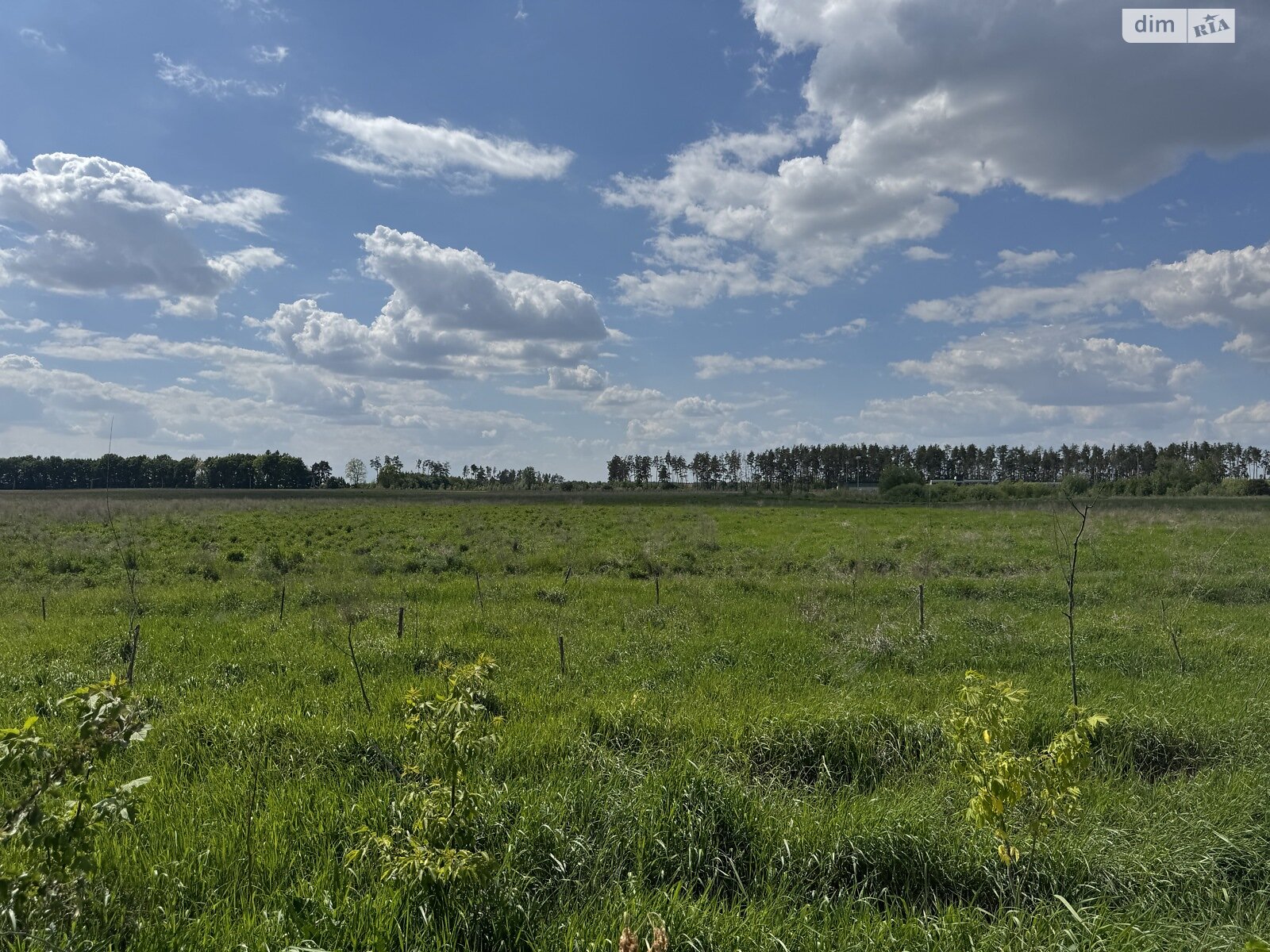 Земельна ділянка під житлову забудову в Бузовій, площа 21 Га фото 1 Земельна ділянка під житлову забудову в Бузовій, площа 21 Га фото 1