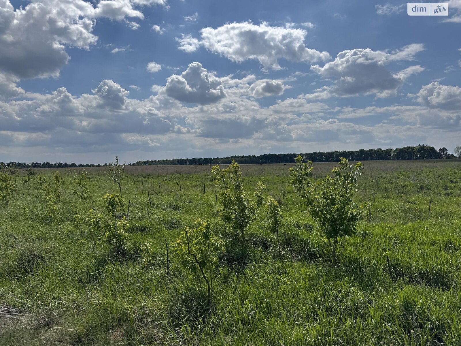 Земельна ділянка під житлову забудову в Бузовій, площа 21 Га фото 1 Земельна ділянка під житлову забудову в Бузовій, площа 21 Га фото 1