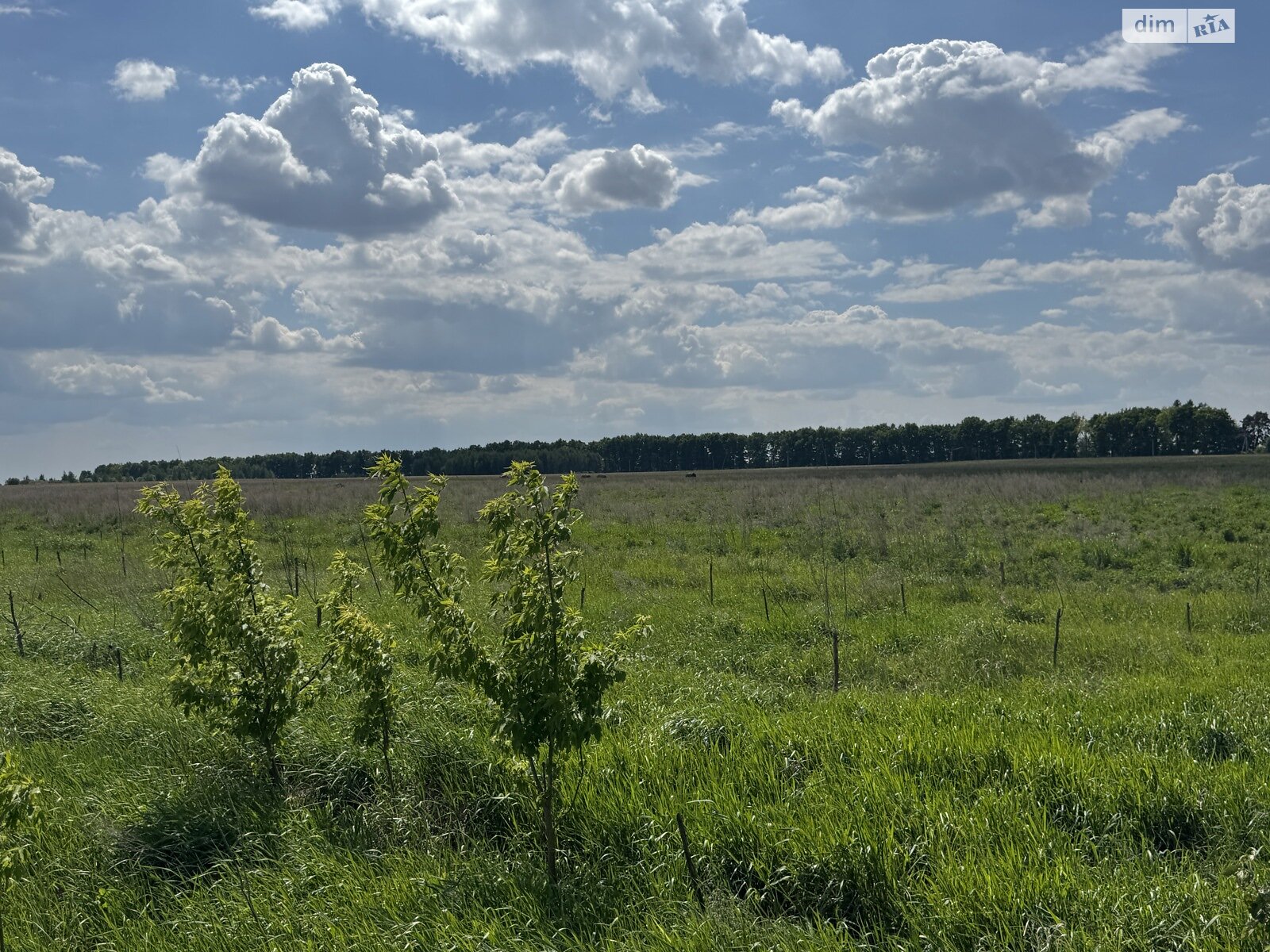 Земельна ділянка під житлову забудову в Бузовій, площа 21 Га фото 1 Земельна ділянка під житлову забудову в Бузовій, площа 21 Га фото 1