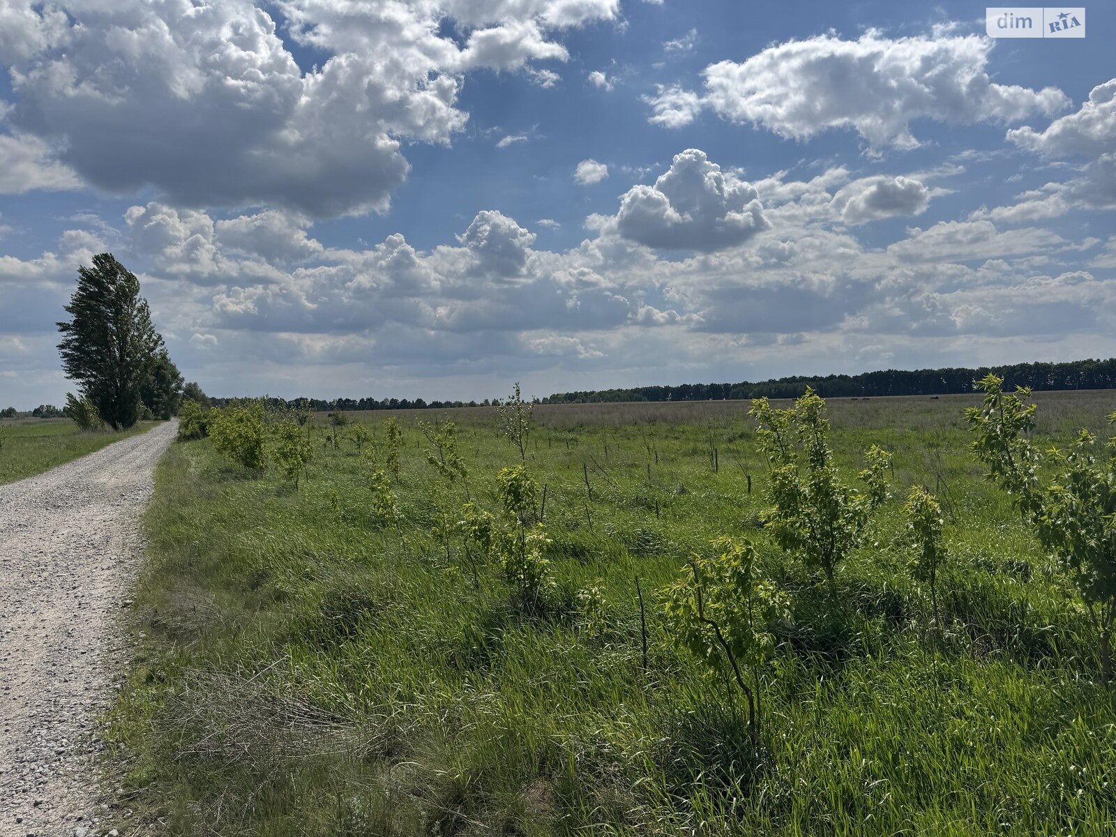 Земельна ділянка під житлову забудову в Бузовій, площа 21 Га фото 1 Земельна ділянка під житлову забудову в Бузовій, площа 21 Га фото 1