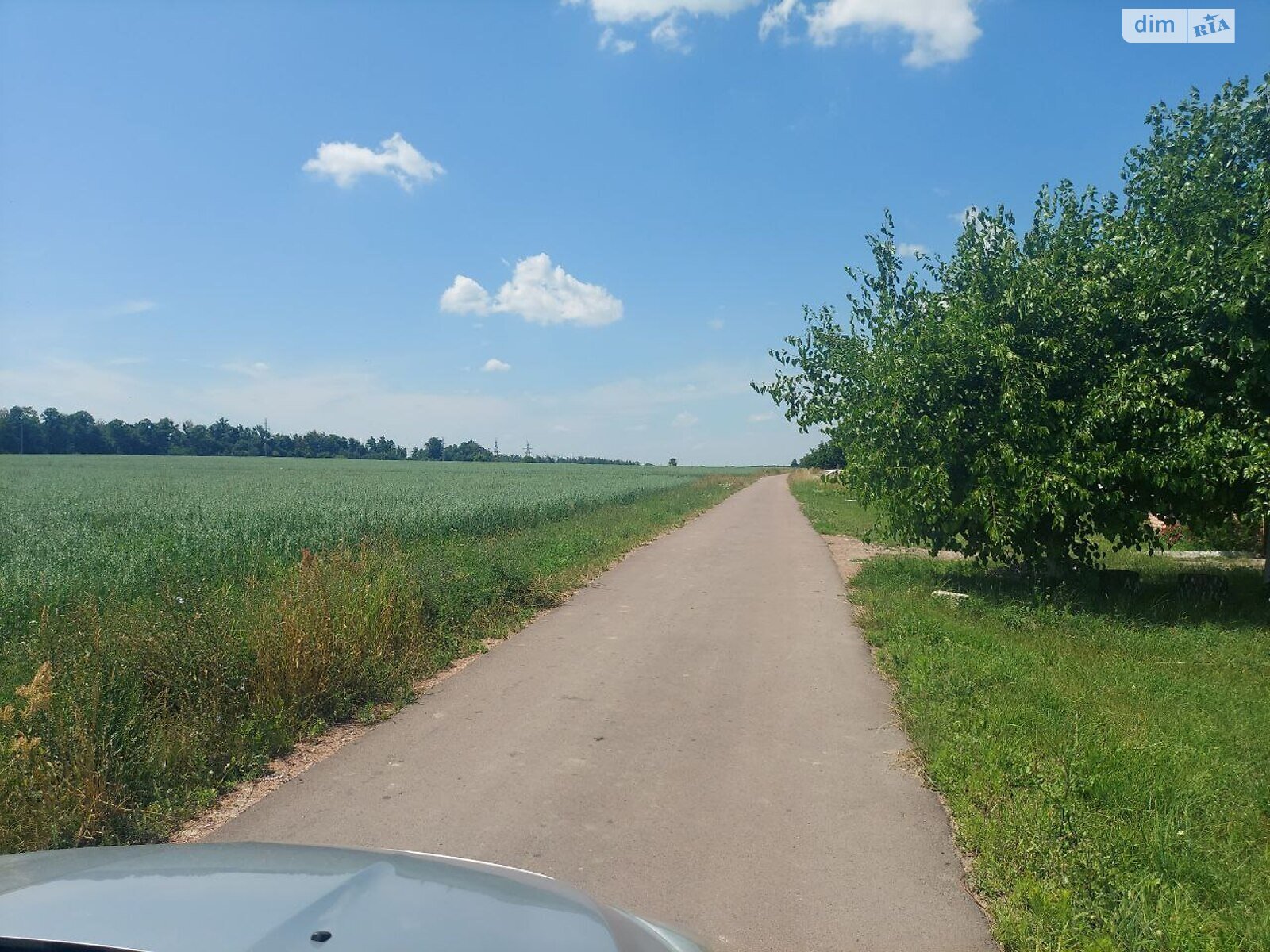 Земельный участок под жилую застройку в Быстри, площадь 15 соток фото 1 Земельный участок под жилую застройку в Быстри, площадь 15 соток фото 1