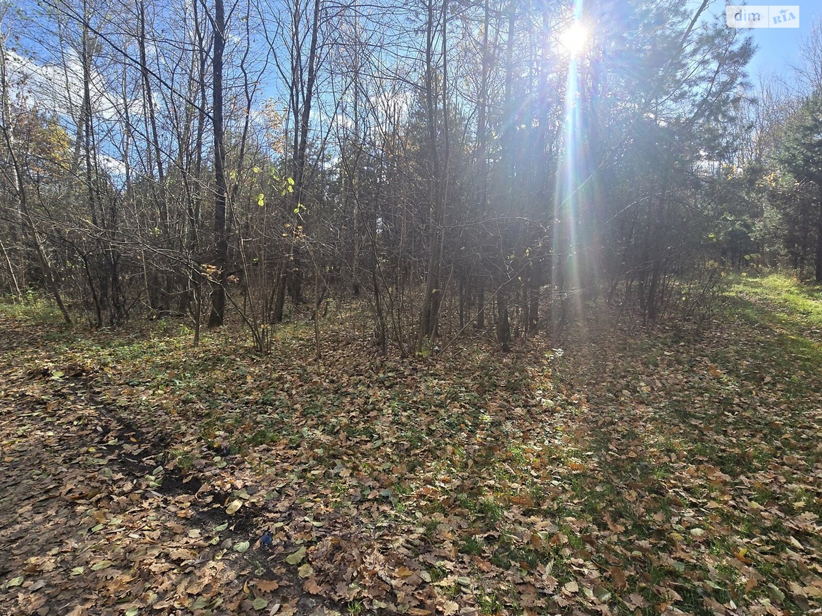 Земельна ділянка під житлову забудову в Бистрі, площа 12 соток фото 1 Земельна ділянка під житлову забудову в Бистрі, площа 12 соток фото 1