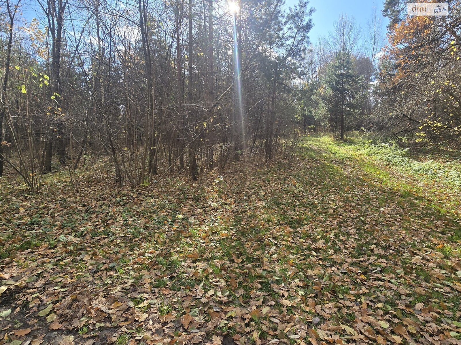Земельна ділянка під житлову забудову в Бистрі, площа 12 соток фото 1 Земельна ділянка під житлову забудову в Бистрі, площа 12 соток фото 1