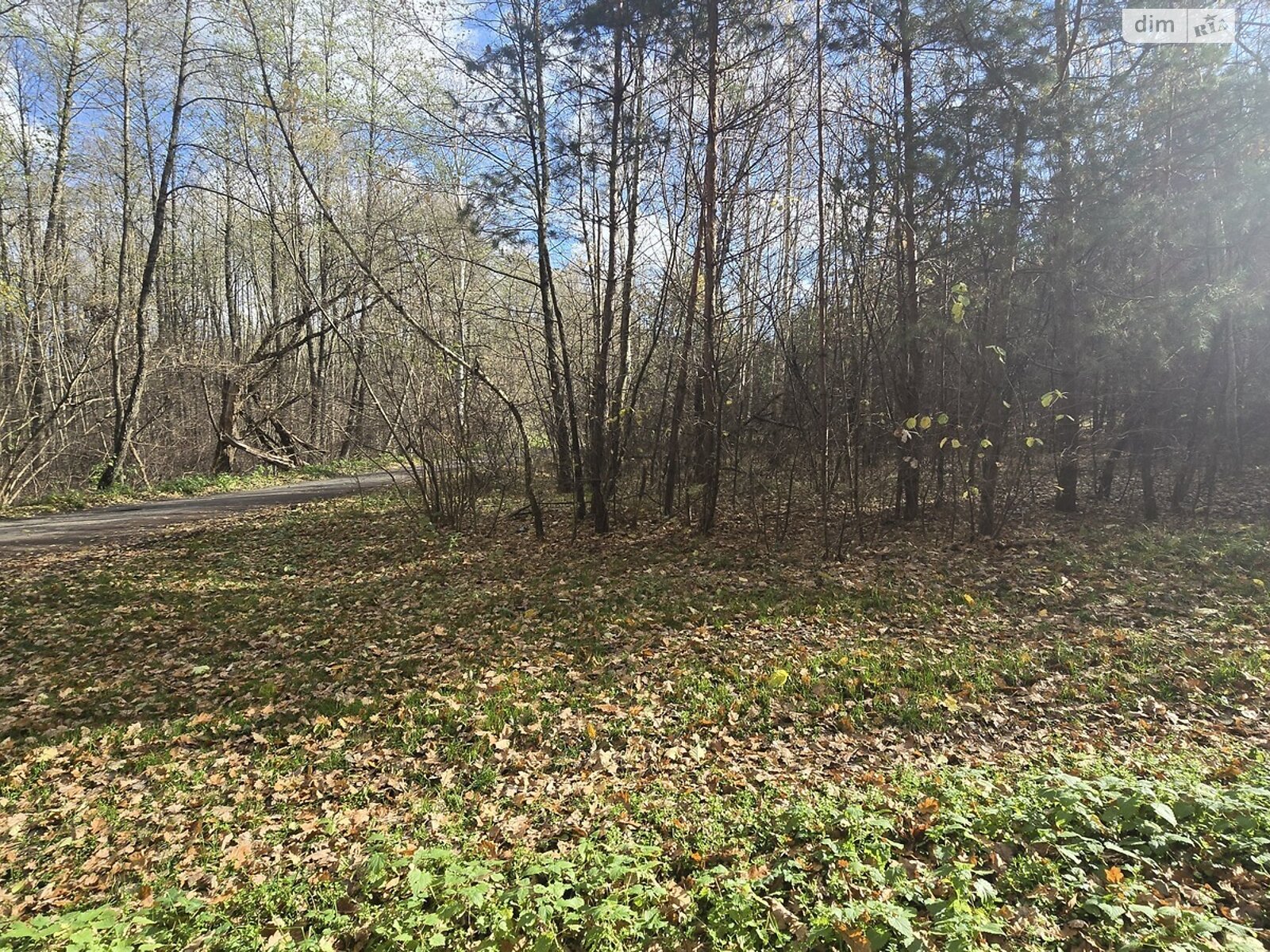 Земельна ділянка під житлову забудову в Бистрі, площа 12 соток фото 1 Земельна ділянка під житлову забудову в Бистрі, площа 12 соток фото 1