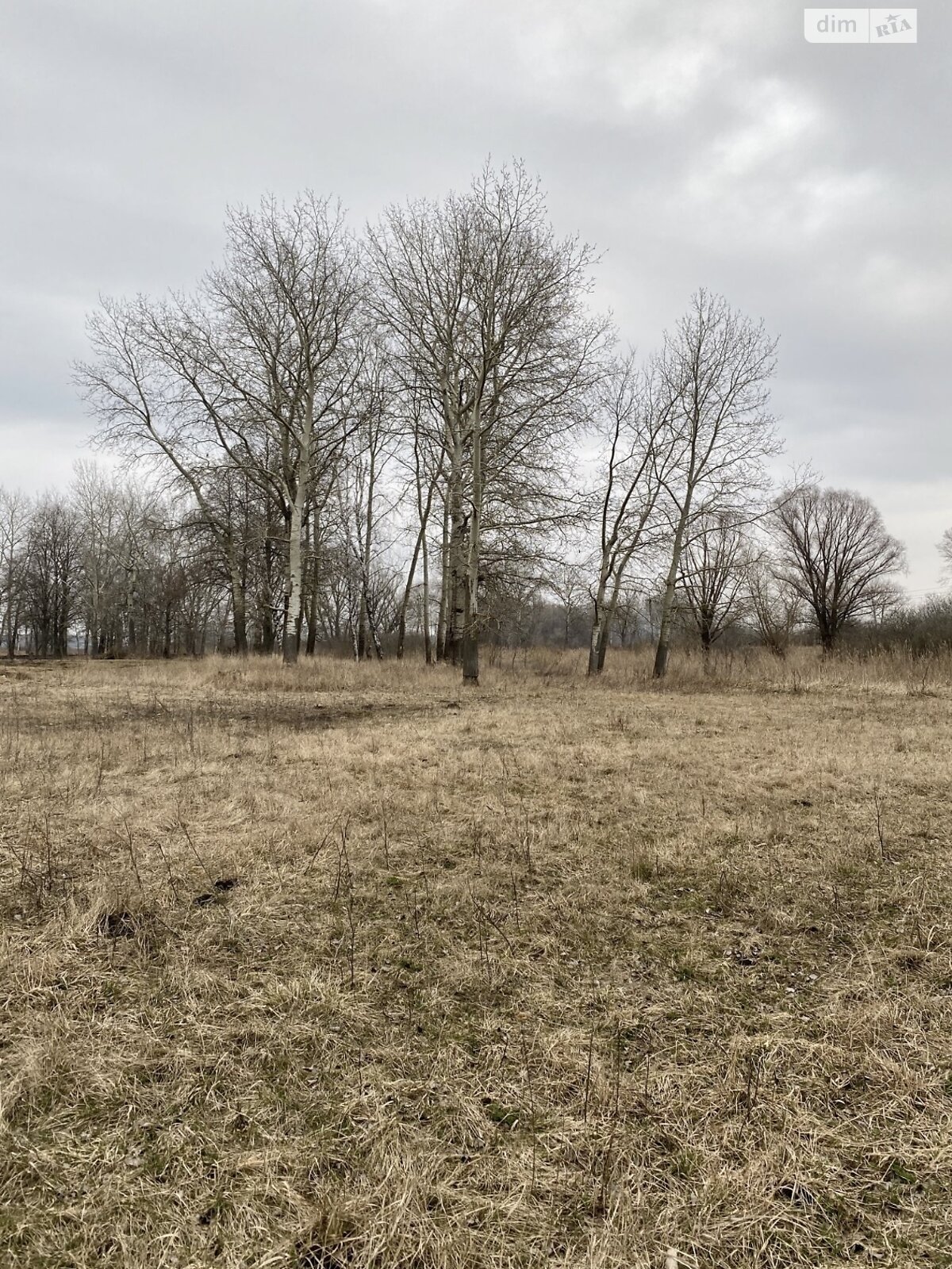 Земельна ділянка під житлову забудову в Бзові, площа 25 соток фото 1