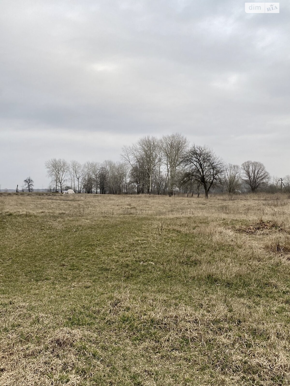 Земельна ділянка під житлову забудову в Бзові, площа 25 соток фото 1