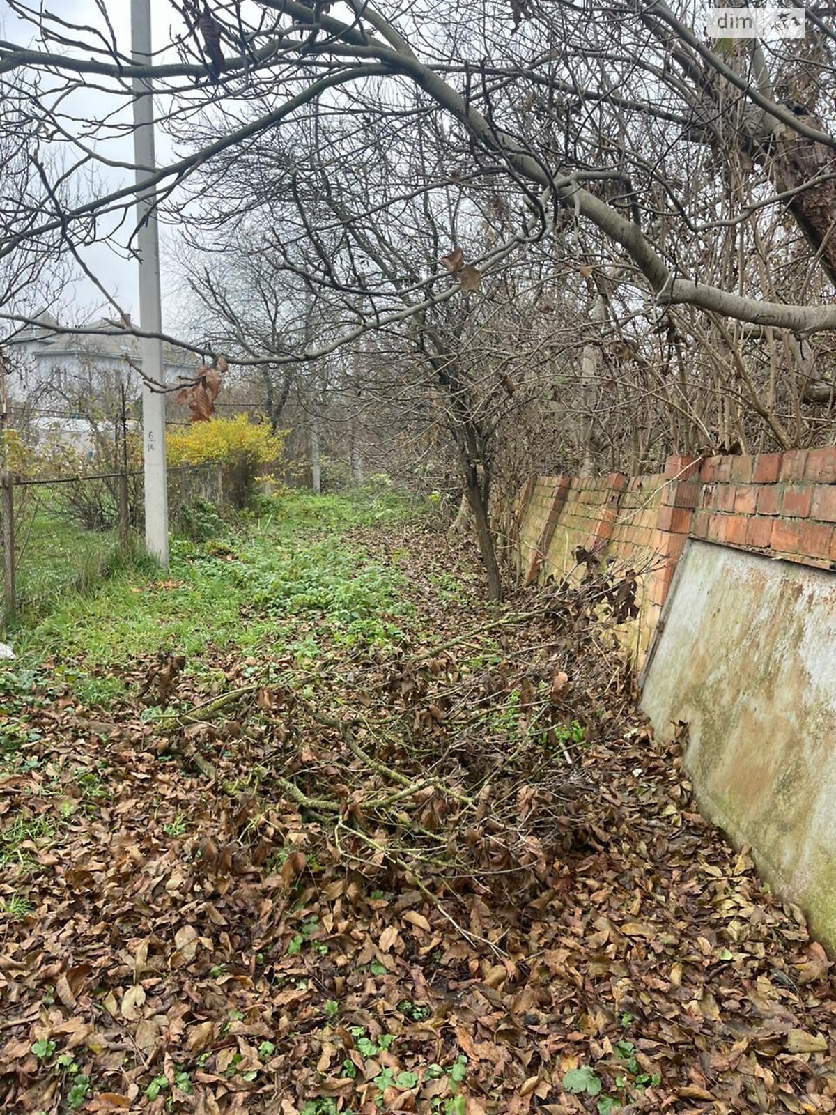 Земельный участок под жилую застройку в Чагоре, площадь 1 Га фото 1