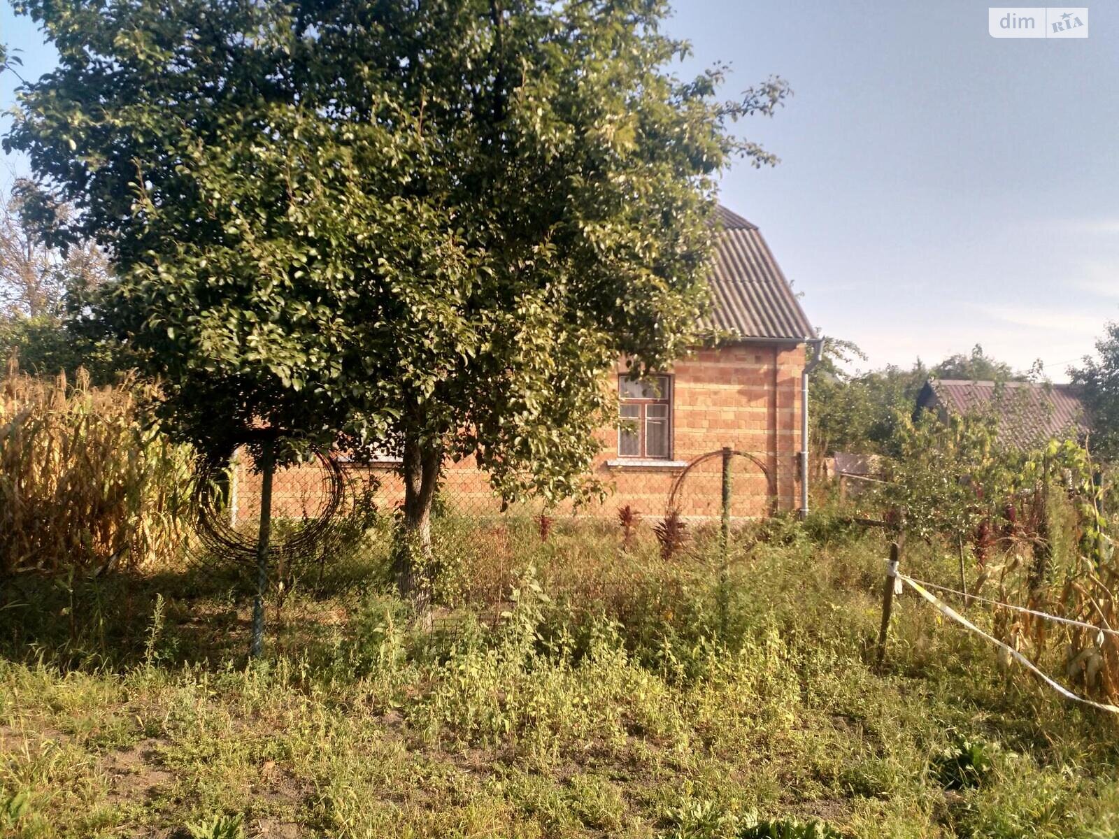 Земля под жилую застройку в Чапаевке, район Вита-Литовская, площадь 10 соток фото 1