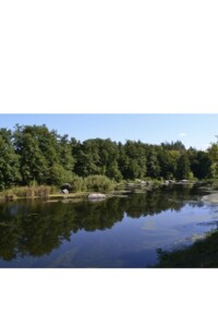 Земельный участок под жилую застройку в Чайках, площадь 10 соток фото 1