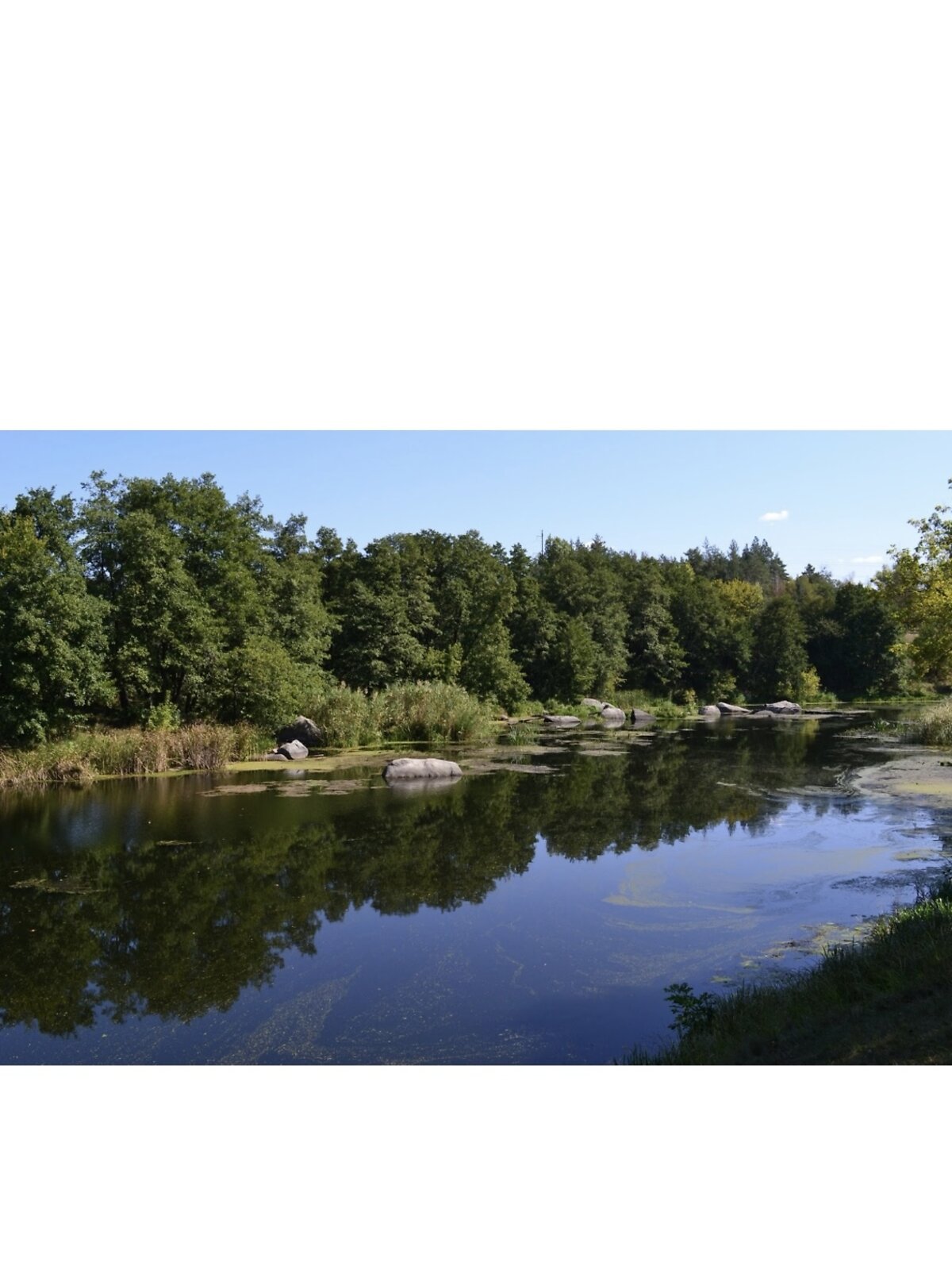 Земельный участок под жилую застройку в Чайках, площадь 10 соток фото 1