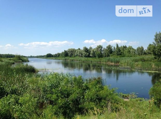 Земля под жилую застройку в селе Крещатик, площадь 12 соток фото 1 Земля под жилую застройку в селе Крещатик, площадь 12 соток фото 1